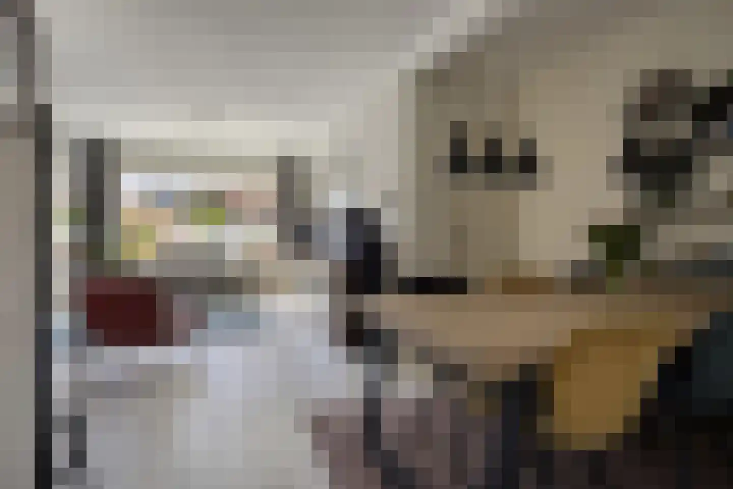 Smidsweg 19 Schalkhaar thumbnail 9
