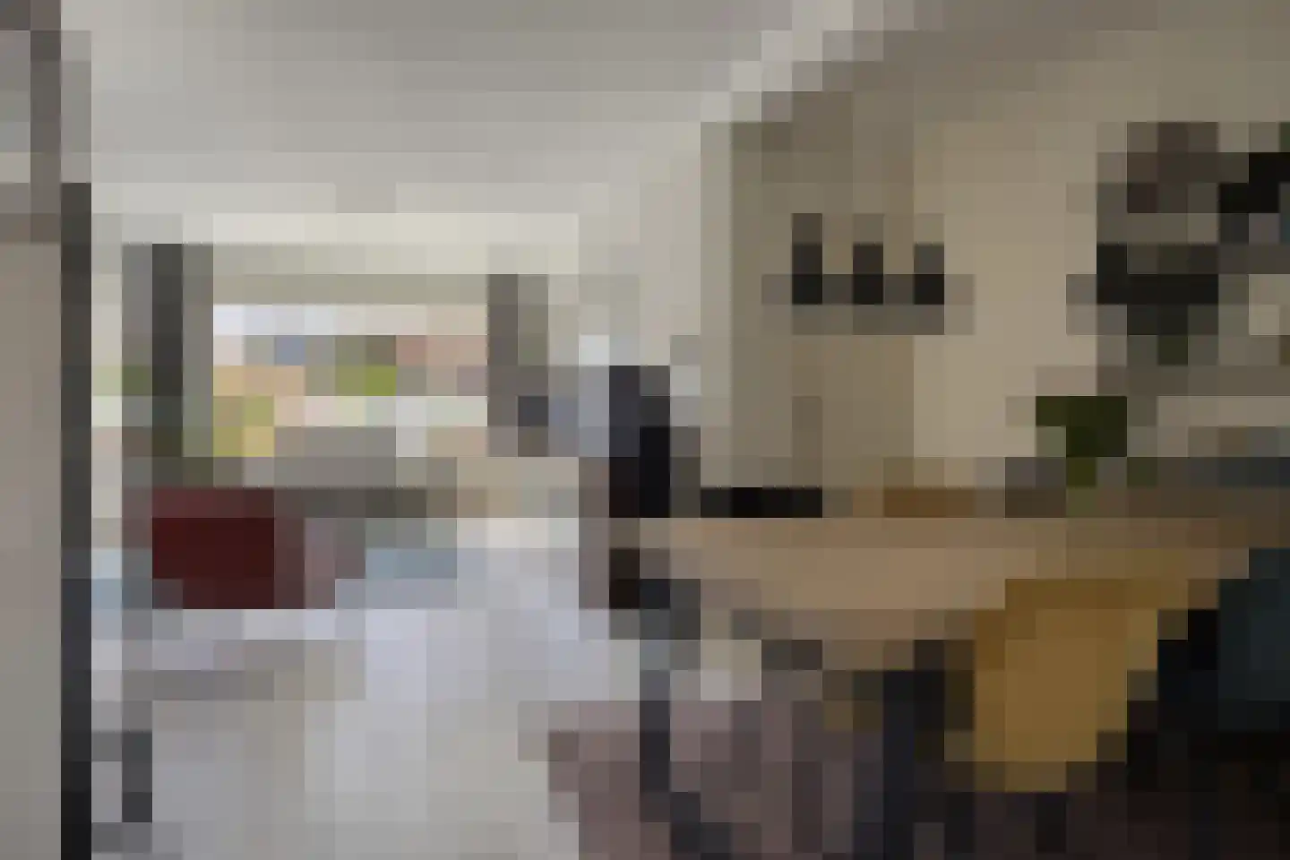 Smidsweg 19 Schalkhaar thumbnail 9