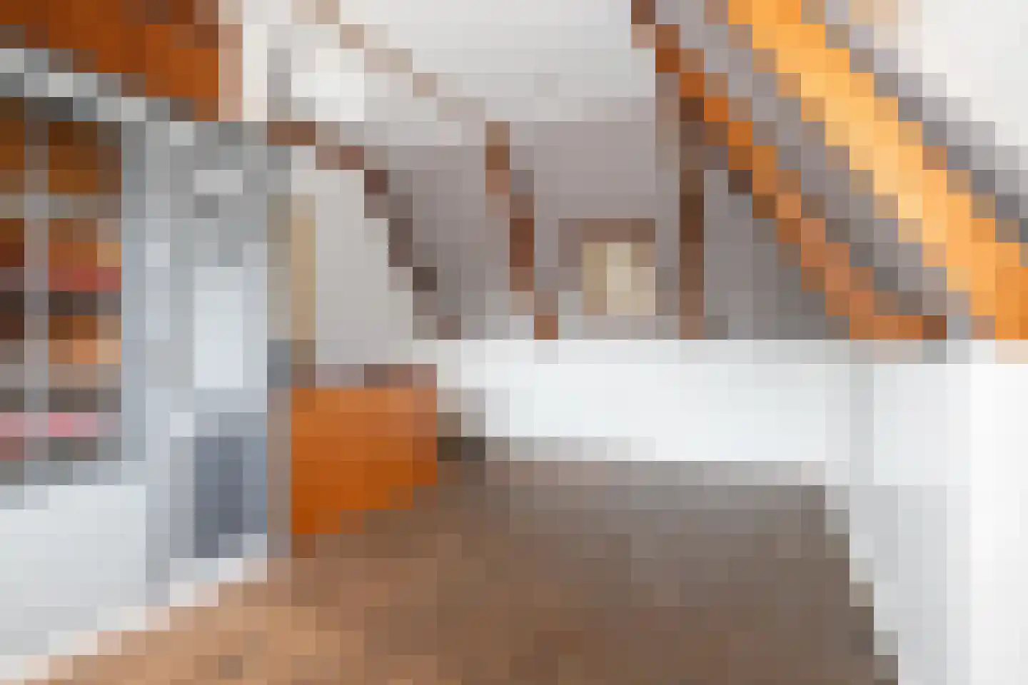 Smidsweg 23 Koudum thumbnail 12