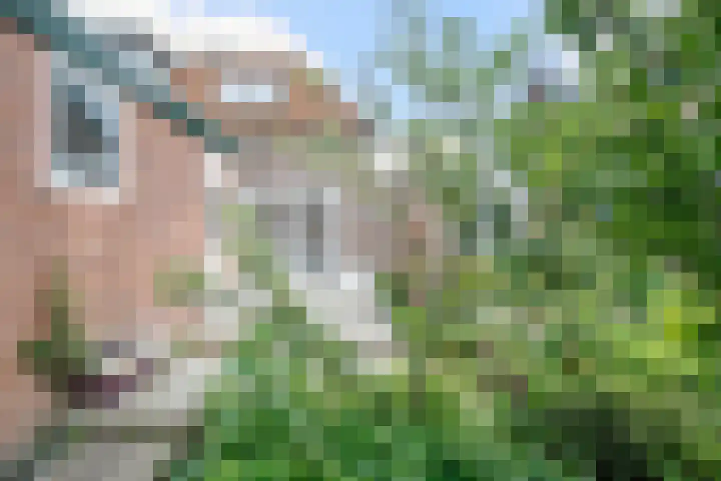 Smidsweg 23 Koudum thumbnail 19