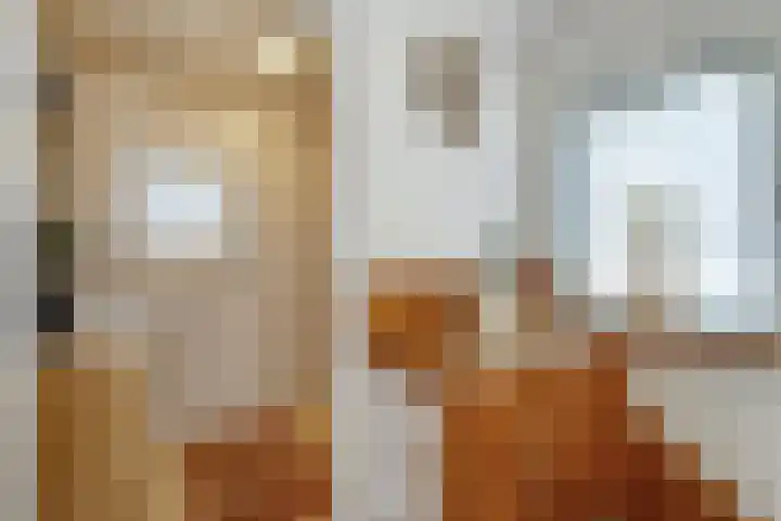 Smidsweg 23 Nijverdal thumbnail 13