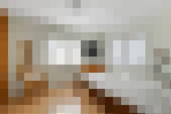 Smidsweg 23 Nijverdal thumbnail 16