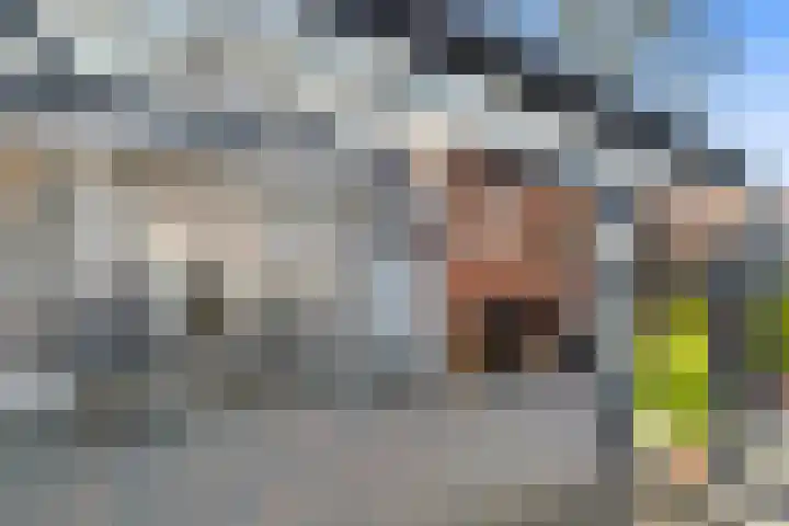 Smidsweg 23 Nijverdal thumbnail 23