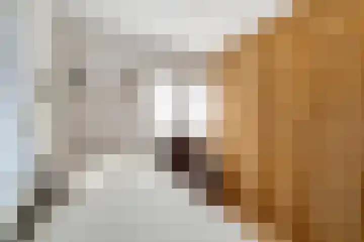 Smidsweg 23 Nijverdal thumbnail 27