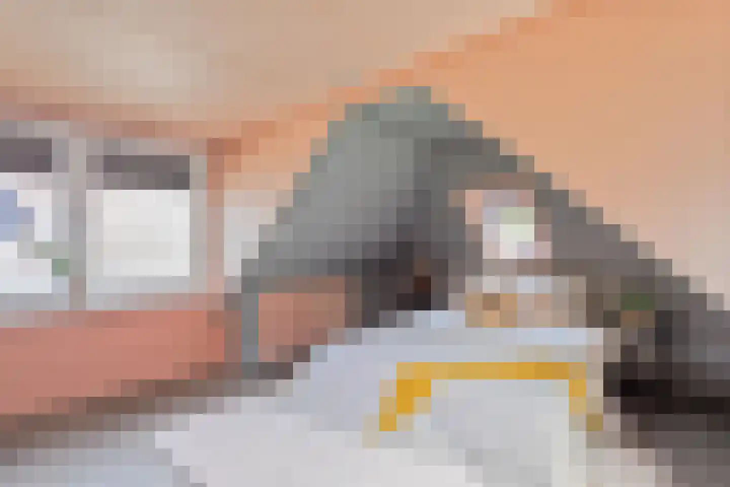 Smidsweg 24 Nijverdal thumbnail 11