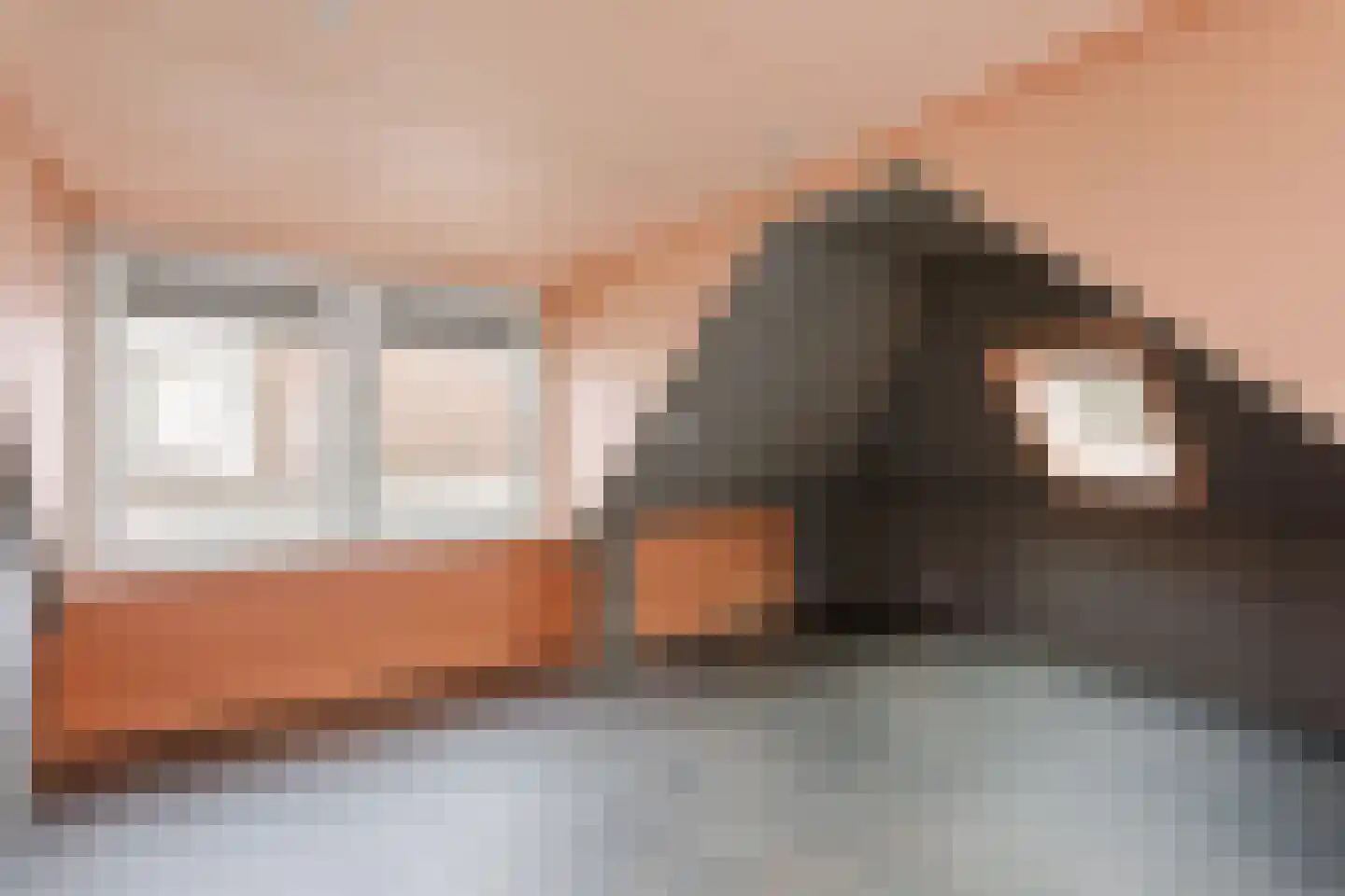 Smidsweg 24 Nijverdal thumbnail 11