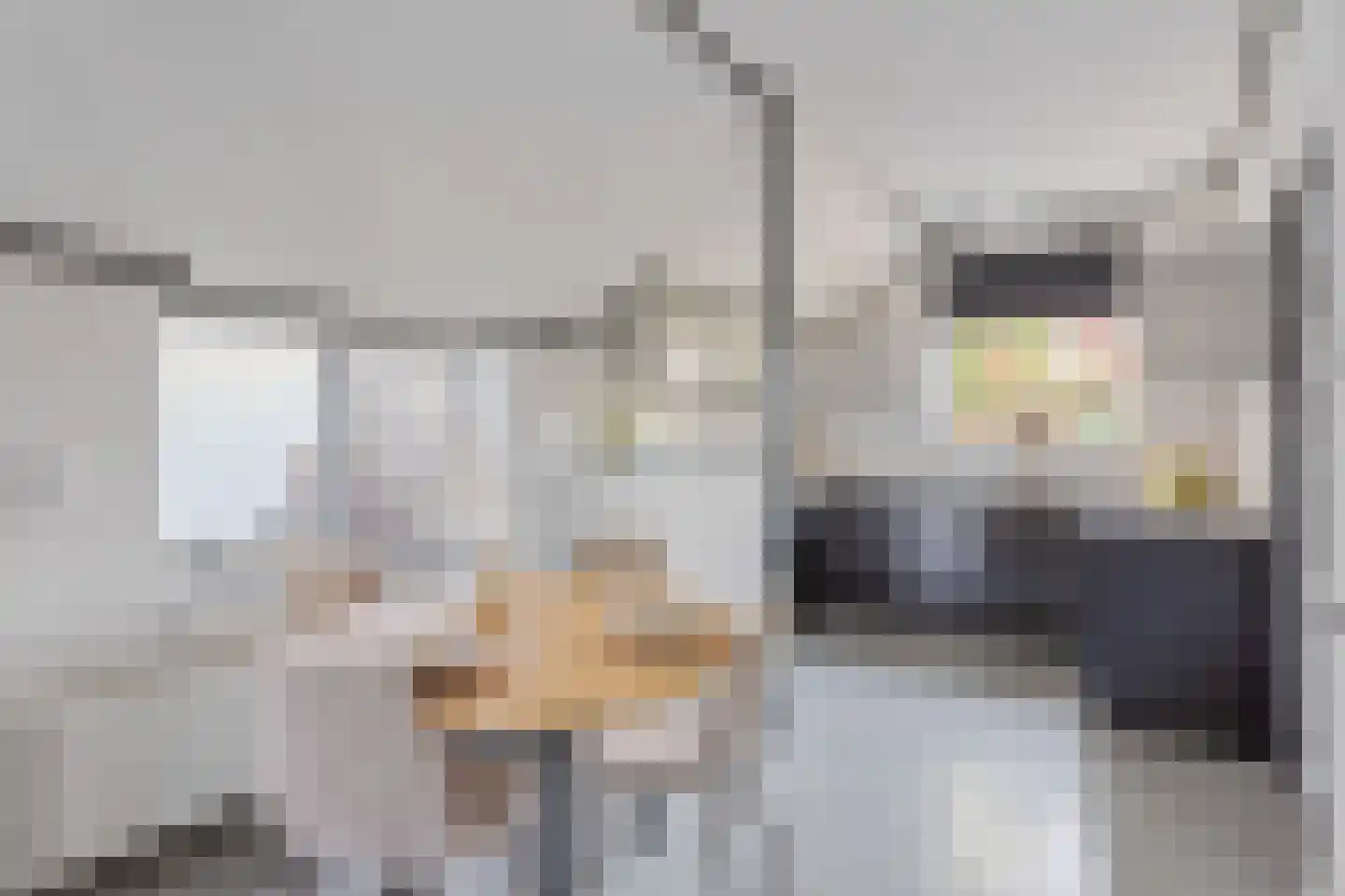 Smidsweg 24 Nijverdal thumbnail 4