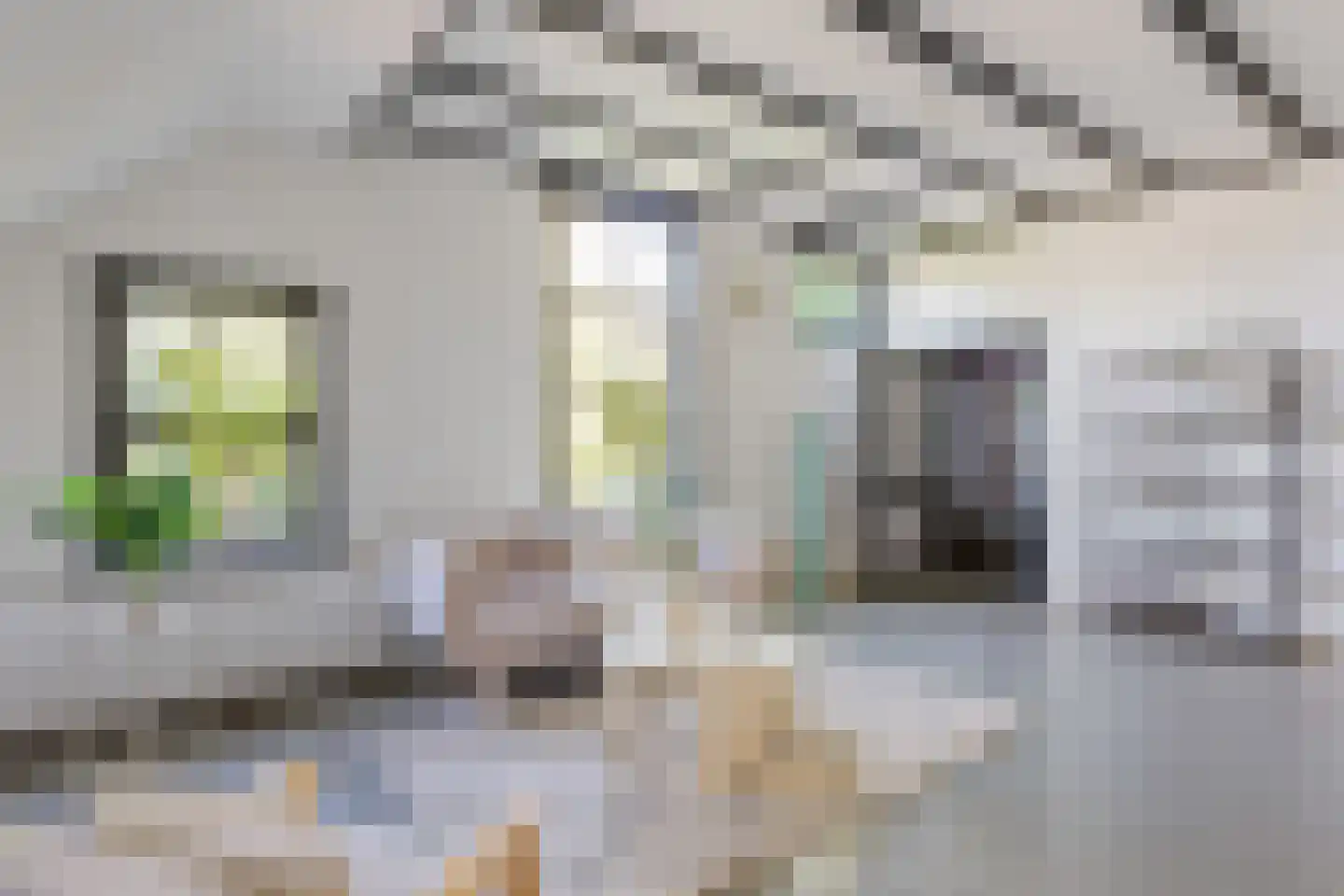Smidsweg 24 Nijverdal thumbnail 6
