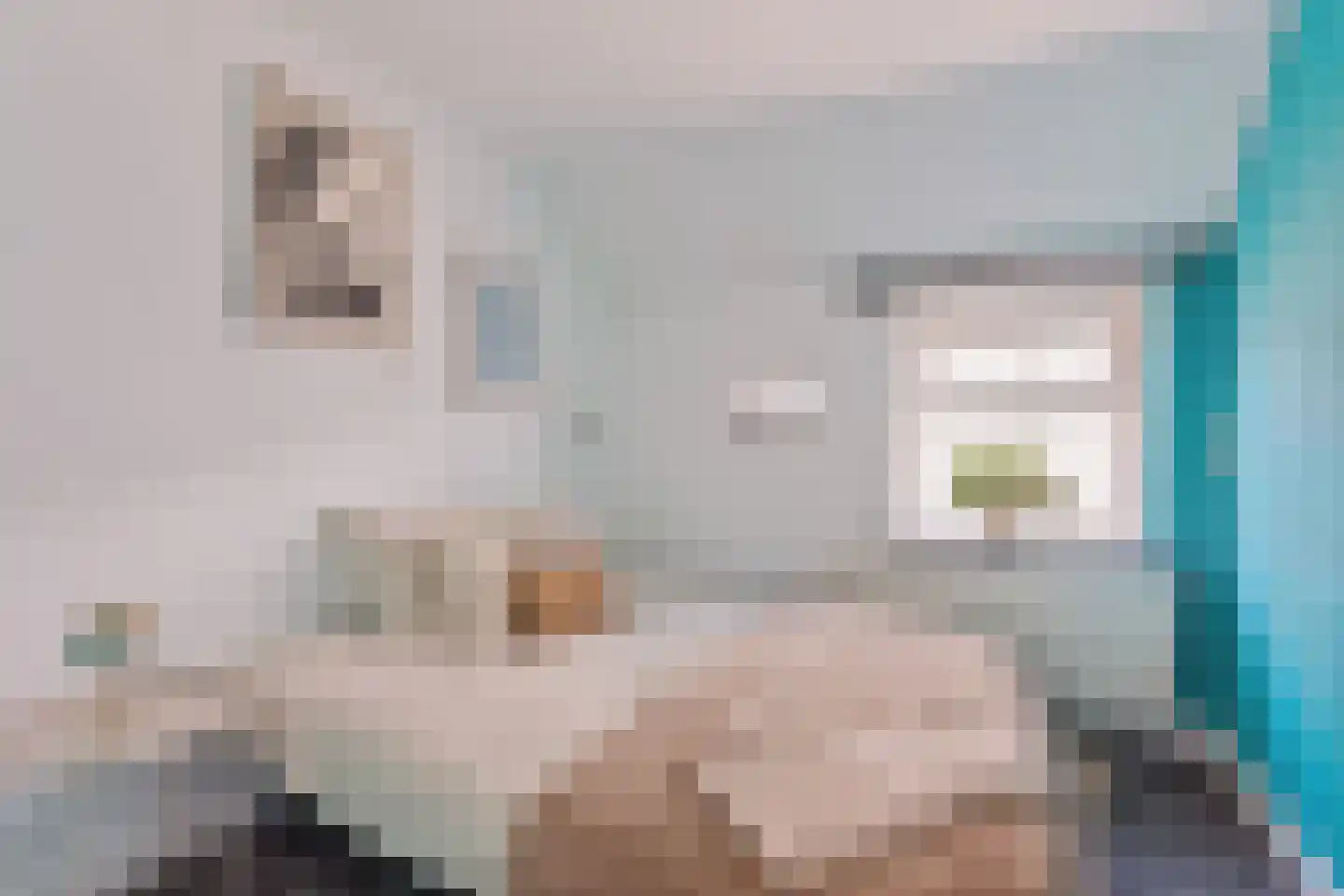Smidsweg 24 Nijverdal thumbnail 9