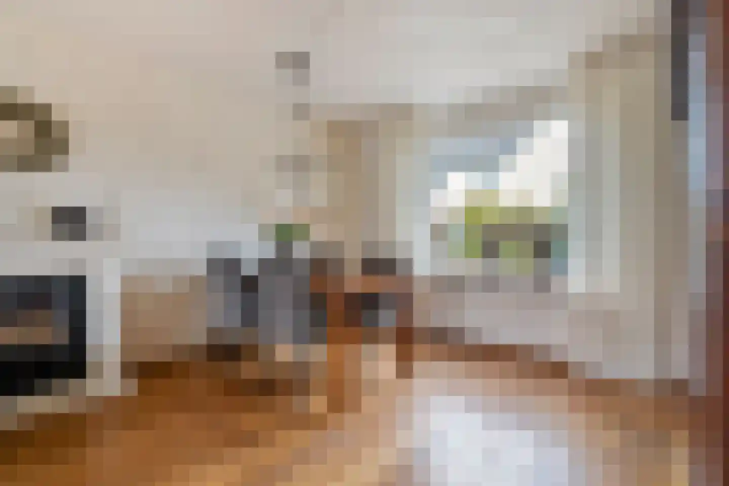Smidsweg 25 Nijverdal thumbnail 12