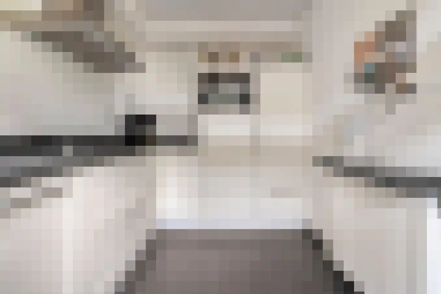 Smidsweg 25 Nijverdal thumbnail 16
