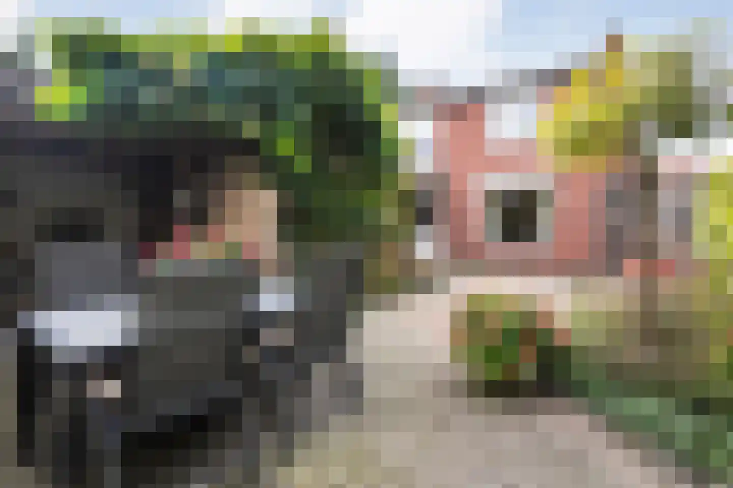 Smidsweg 25 Nijverdal thumbnail 36