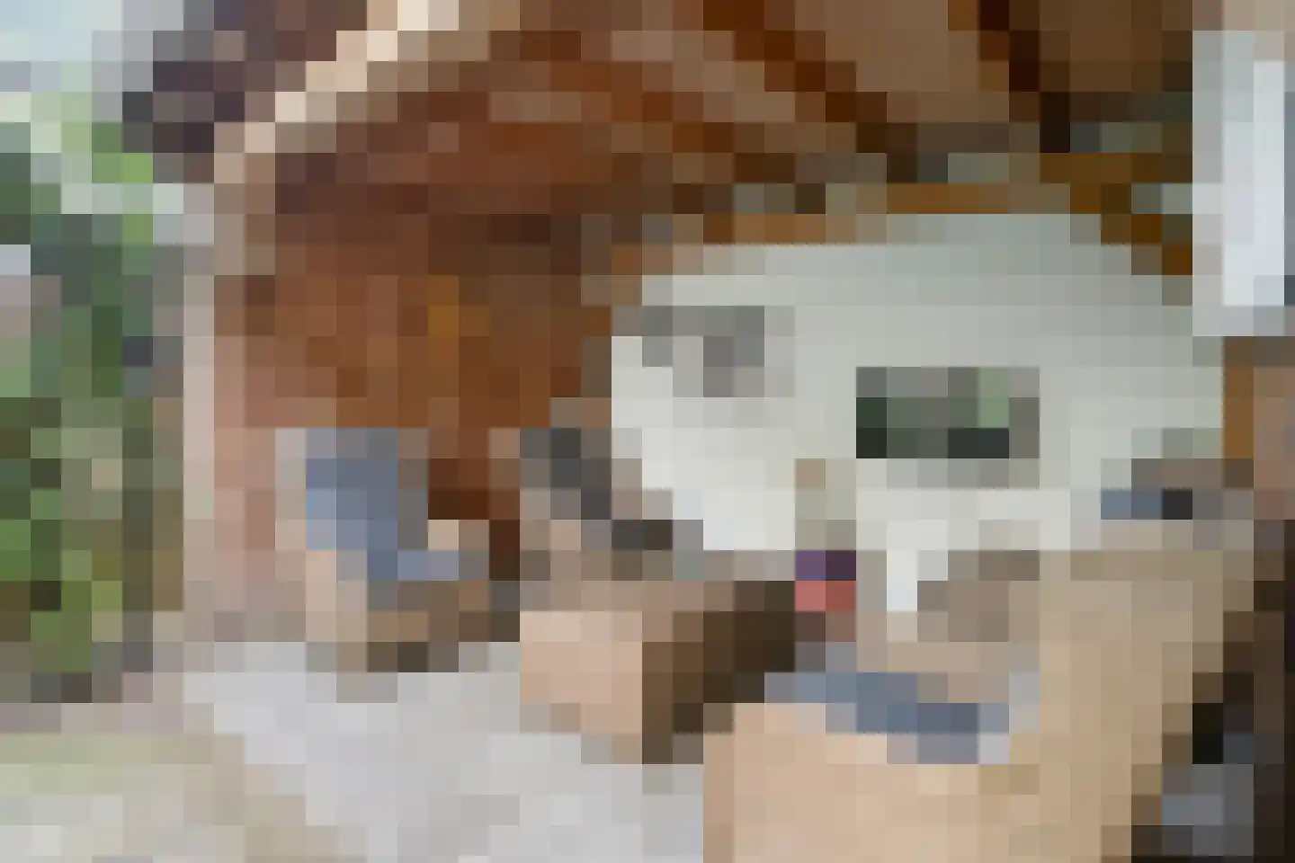 Smidsweg 25 Nijverdal thumbnail 37