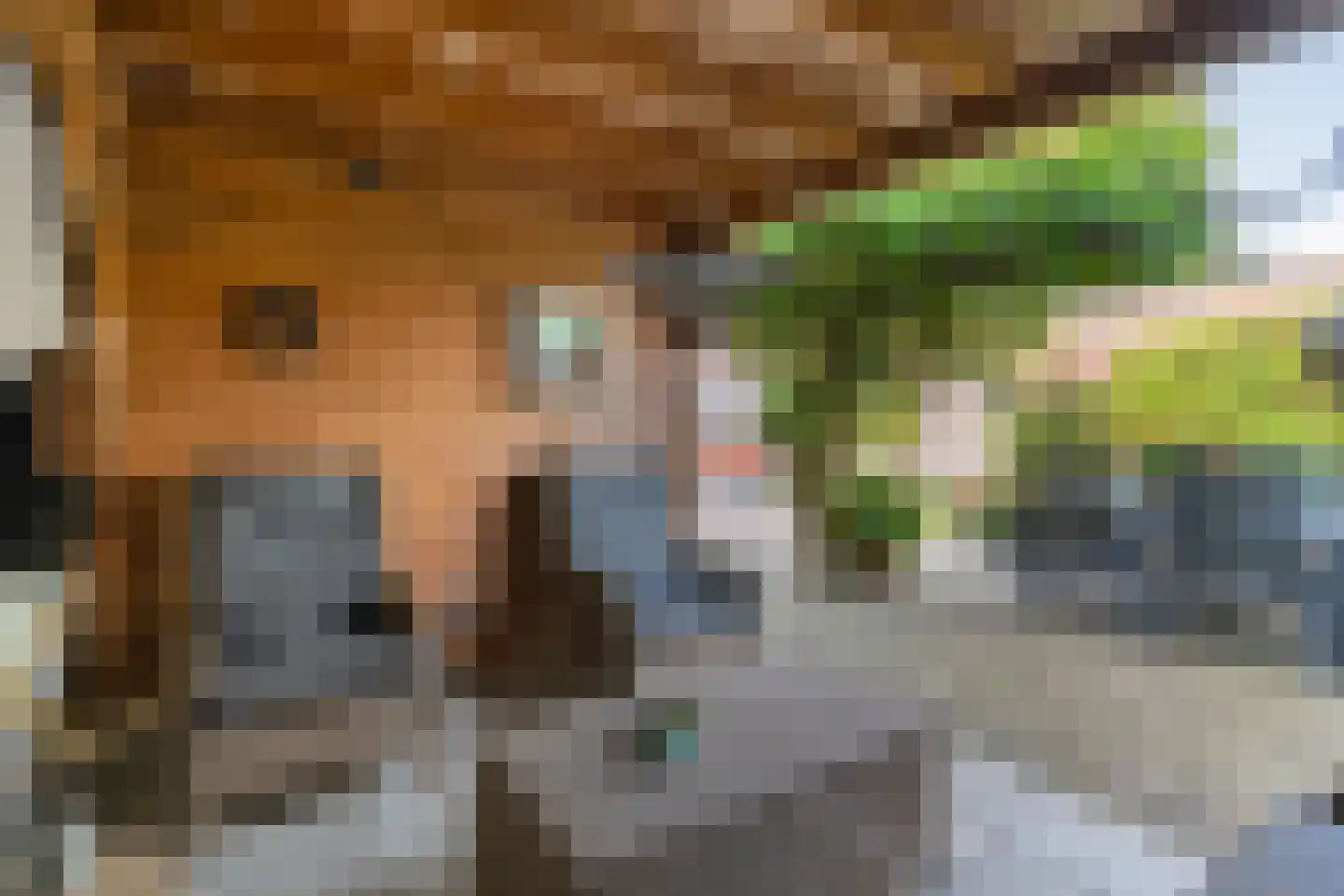 Smidsweg 25 Nijverdal thumbnail 38