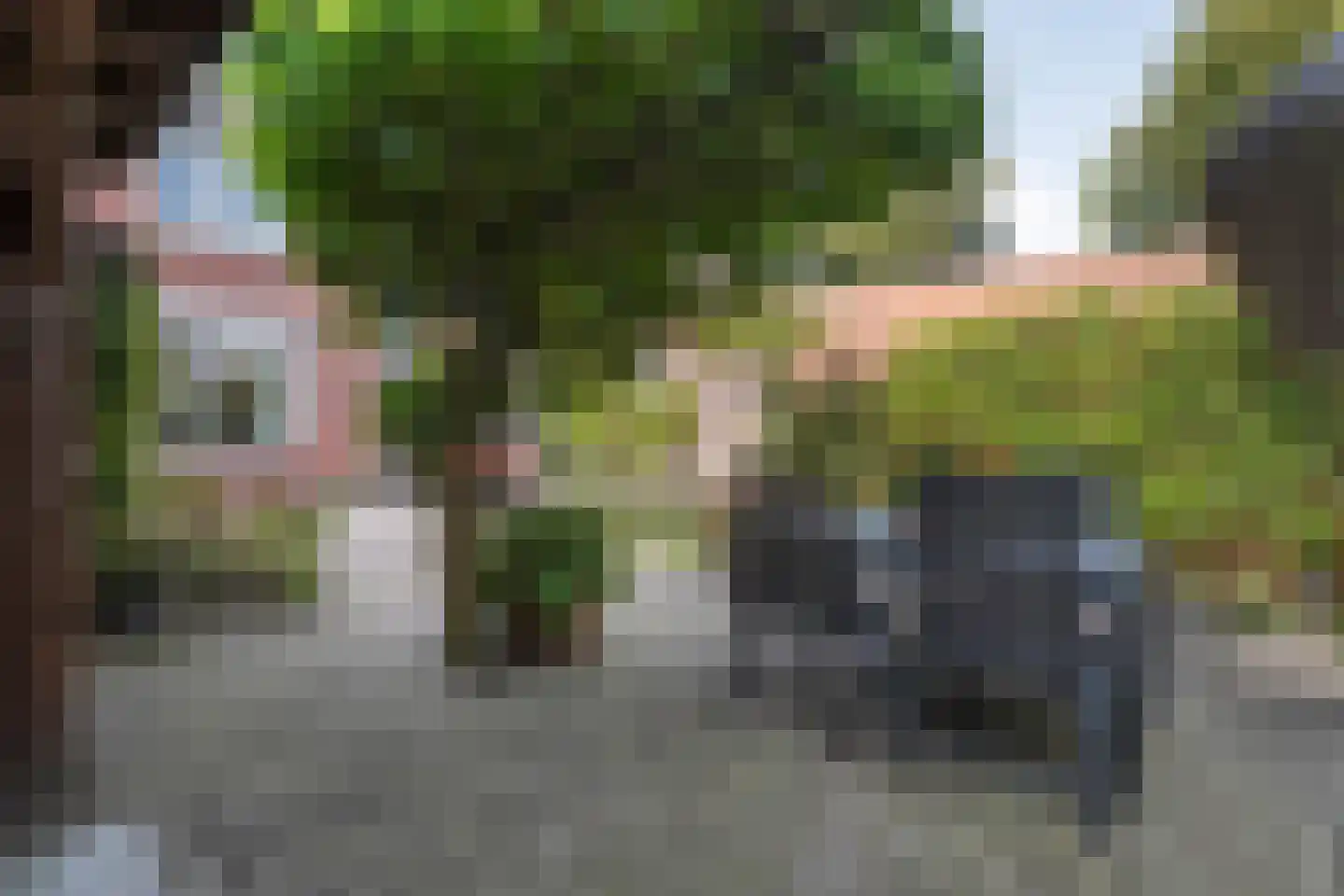Smidsweg 25 Nijverdal thumbnail 39