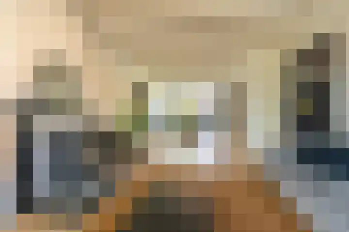 Smidsweg 28 's-Gravendeel thumbnail 14