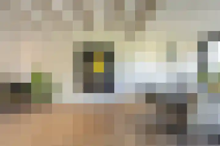 Smidsweg 28 's-Gravendeel thumbnail 18