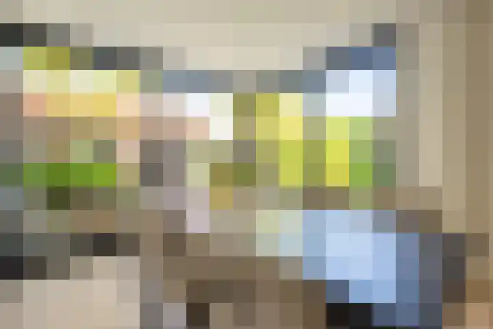 Smidsweg 28 's-Gravendeel thumbnail 19