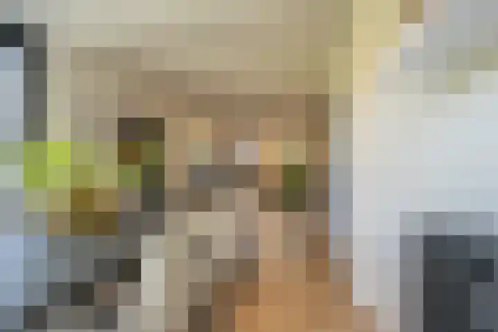 Smidsweg 28 's-Gravendeel thumbnail 20