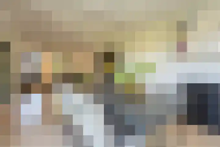 Smidsweg 28 's-Gravendeel thumbnail 21