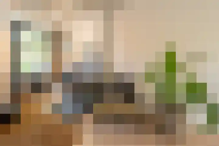 Smidsweg 28 's-Gravendeel thumbnail 30