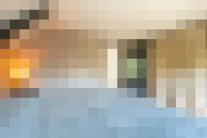 Smidsweg 28 's-Gravendeel thumbnail 34