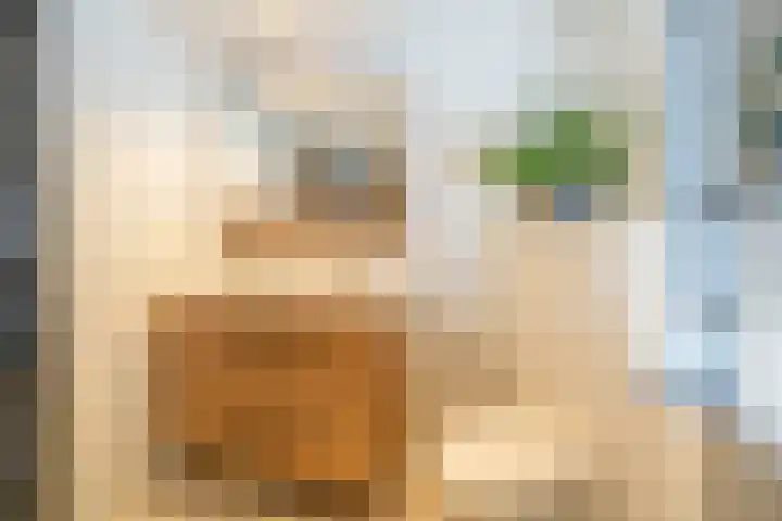 Smidsweg 28 's-Gravendeel thumbnail 36