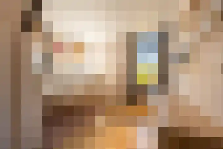 Smidsweg 28 's-Gravendeel thumbnail 38