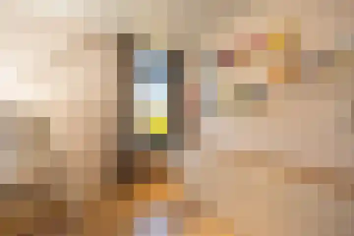 Smidsweg 28 's-Gravendeel thumbnail 39