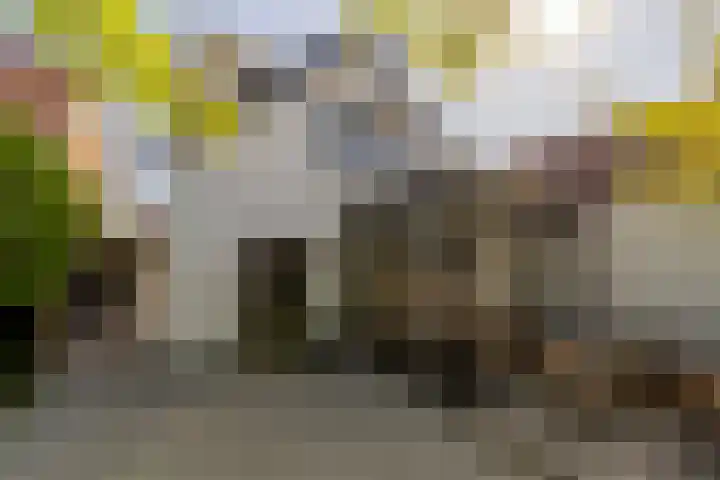 Smidsweg 28 's-Gravendeel thumbnail 4