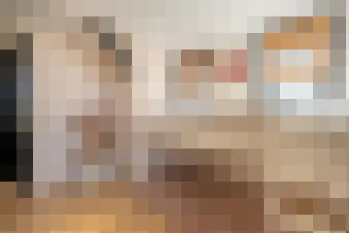 Smidsweg 28 's-Gravendeel thumbnail 40