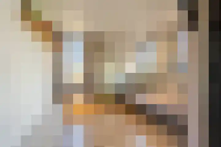 Smidsweg 28 's-Gravendeel thumbnail 42