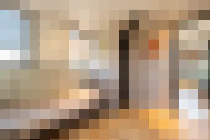 Smidsweg 28 's-Gravendeel thumbnail 44