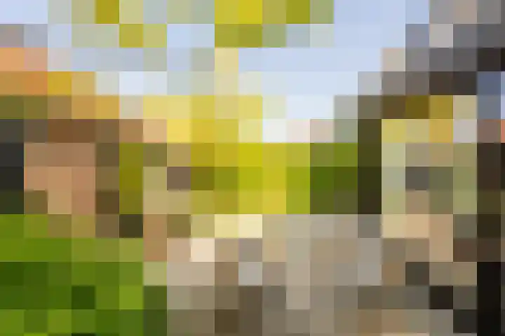 Smidsweg 28 's-Gravendeel thumbnail 49