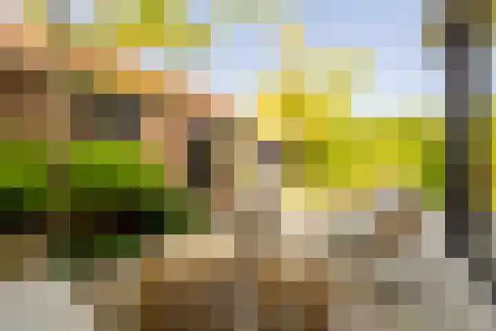 Smidsweg 28 's-Gravendeel thumbnail 5