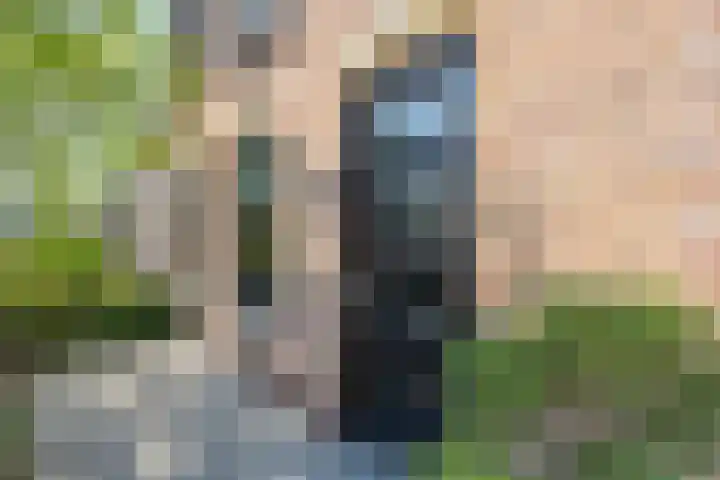 Smidsweg 28 's-Gravendeel thumbnail 50
