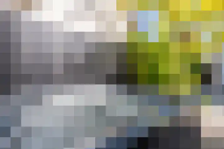 Smidsweg 28 's-Gravendeel thumbnail 51