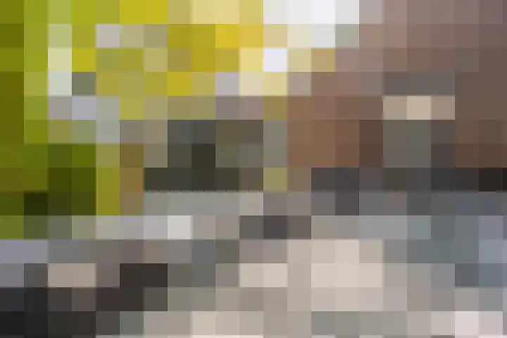 Smidsweg 28 's-Gravendeel thumbnail 52