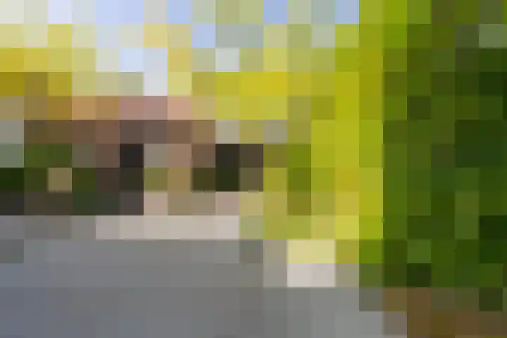 Smidsweg 28 's-Gravendeel thumbnail 53