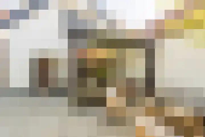 Smidsweg 28 's-Gravendeel thumbnail 54