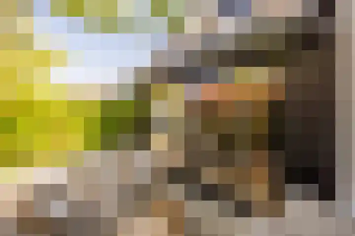 Smidsweg 28 's-Gravendeel thumbnail 55