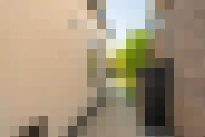 Smidsweg 28 's-Gravendeel thumbnail 56