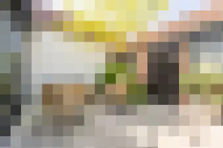 Smidsweg 28 's-Gravendeel thumbnail 58