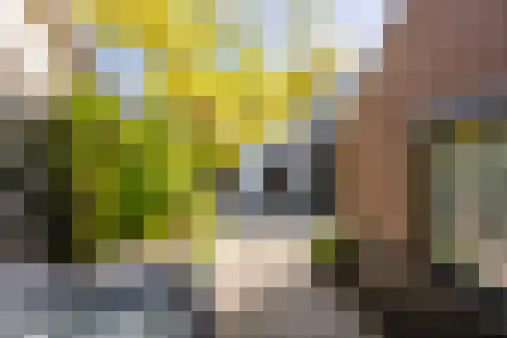 Smidsweg 28 's-Gravendeel thumbnail 59