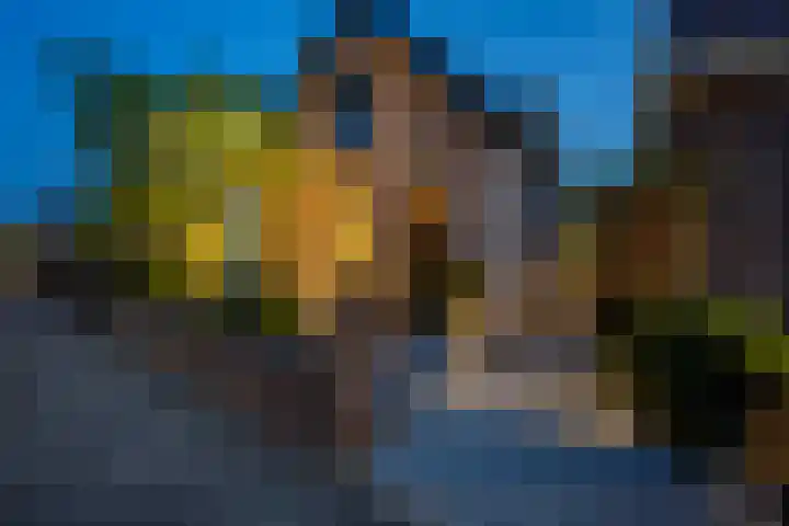 Smidsweg 28 's-Gravendeel thumbnail 61