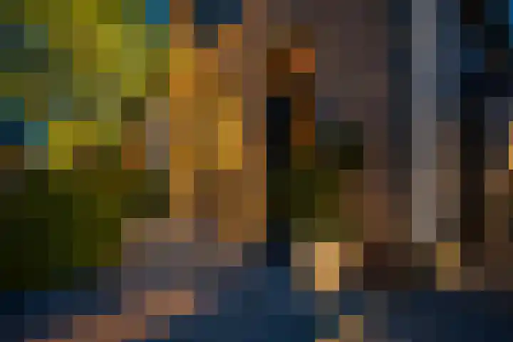 Smidsweg 28 's-Gravendeel thumbnail 62