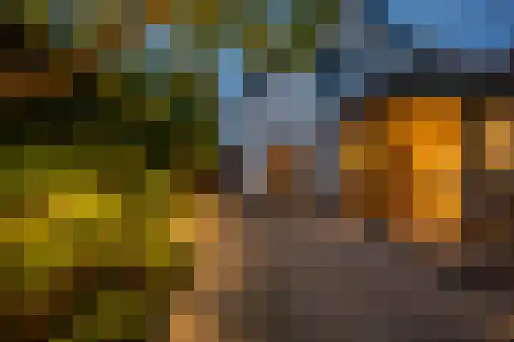 Smidsweg 28 's-Gravendeel thumbnail 63
