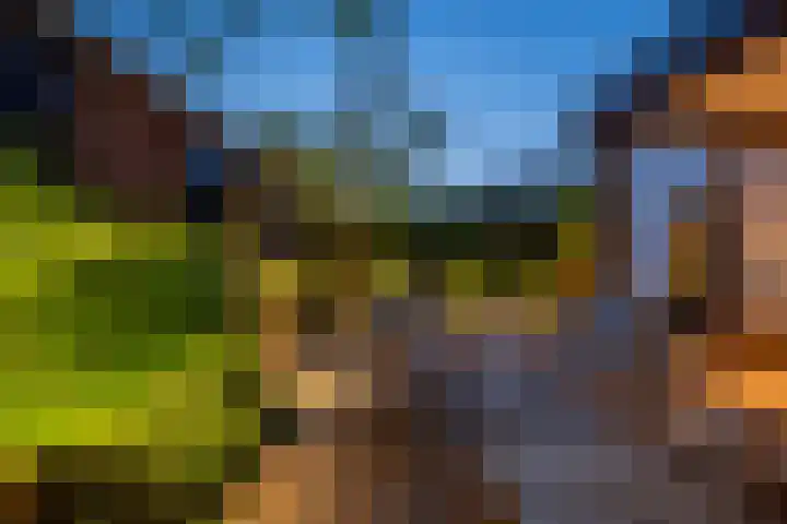 Smidsweg 28 's-Gravendeel thumbnail 64