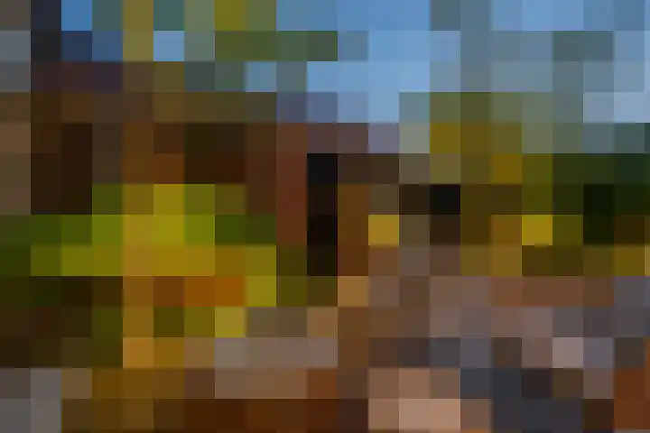 Smidsweg 28 's-Gravendeel thumbnail 65
