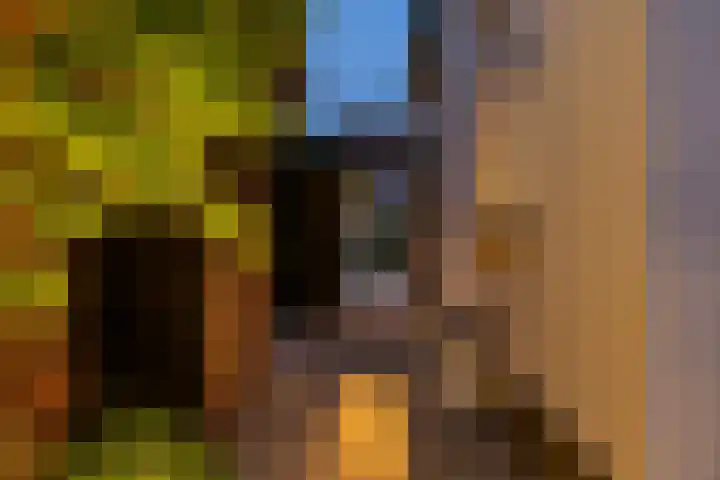 Smidsweg 28 's-Gravendeel thumbnail 66